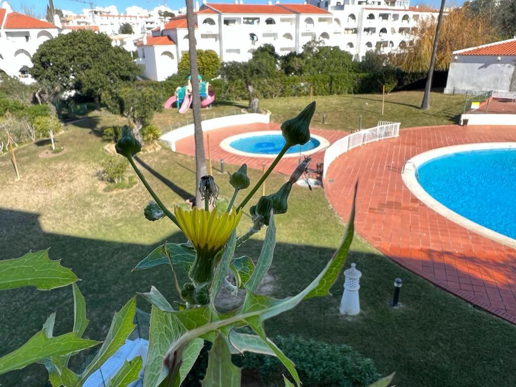 Painel De Albufeira Apartment Exterior photo